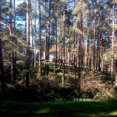 Apartment 9 Gorska Vila Zlatibor Eksteriør bilde