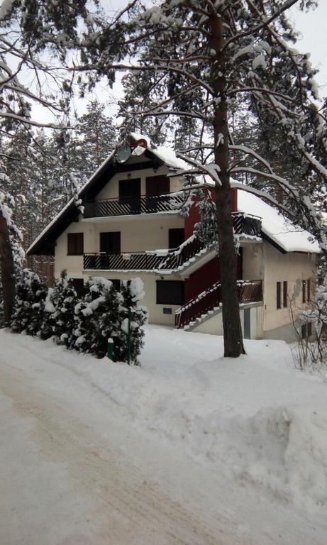 Apartment 9 Gorska Vila Zlatibor Eksteriør bilde