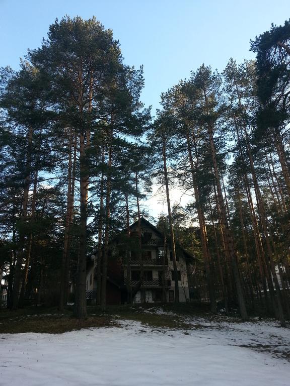 Apartment 9 Gorska Vila Zlatibor Eksteriør bilde