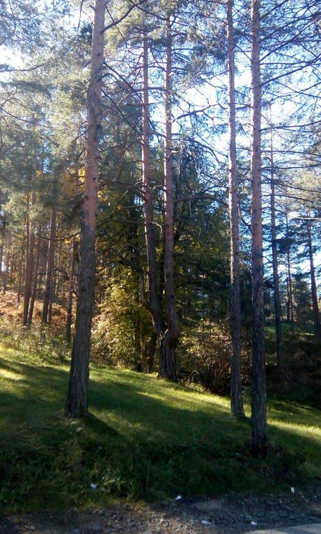 Apartment 9 Gorska Vila Zlatibor Eksteriør bilde