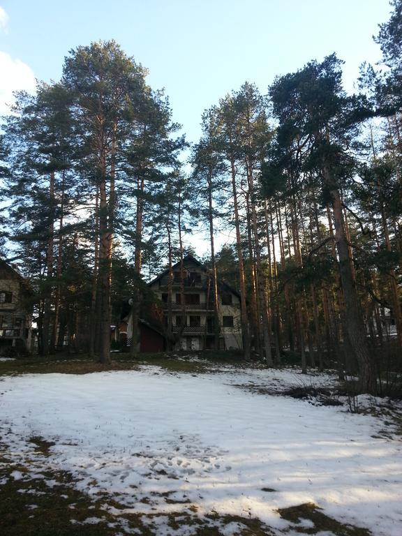 Apartment 9 Gorska Vila Zlatibor Eksteriør bilde